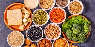 wellhealthorganic.com protein
