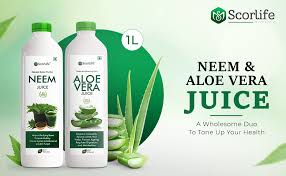 wellhealthorganic.com : neem and aloe vera juice