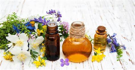 Best Hair Oils