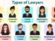 Lawyers